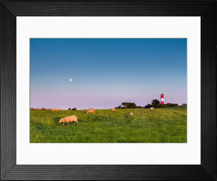 Framed Print : Full moon over lighthouse, Falshaoft, Baltic coast, Schleswig-Holstein, Germany Framed Print : Full moon over lighthouse, Falshaoft, Baltic coast, Schleswig-Holstein, Germany