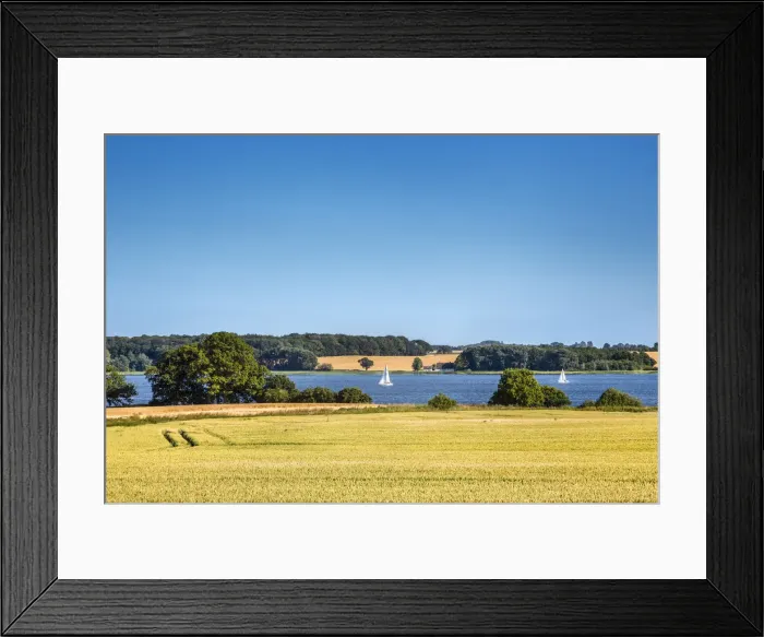 Framed Print : Schlei fjord, Baltic coast, Schleswig-Holstein, Germany Framed Print : Schlei fjord, Baltic coast, Schleswig-Holstein, Germany
