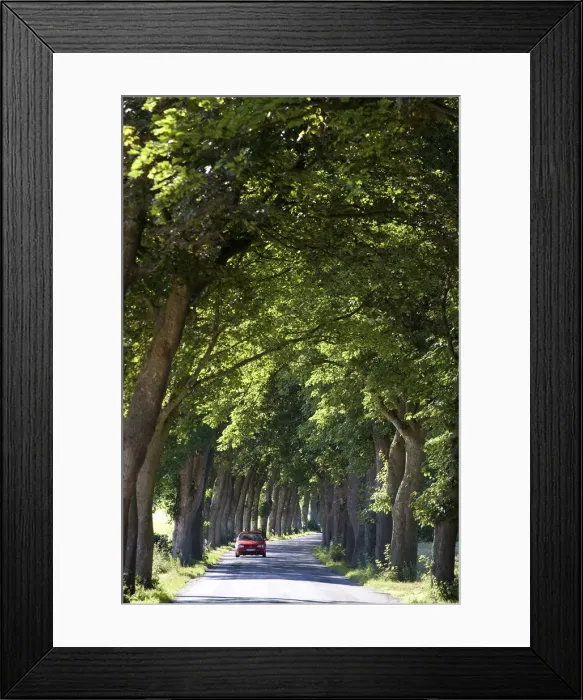 Framed Print : Road near Greifswald, Mecklenburg-Western Pomerania, Germany Framed Print : Road near Greifswald, Mecklenburg-Western Pomerania, Germany