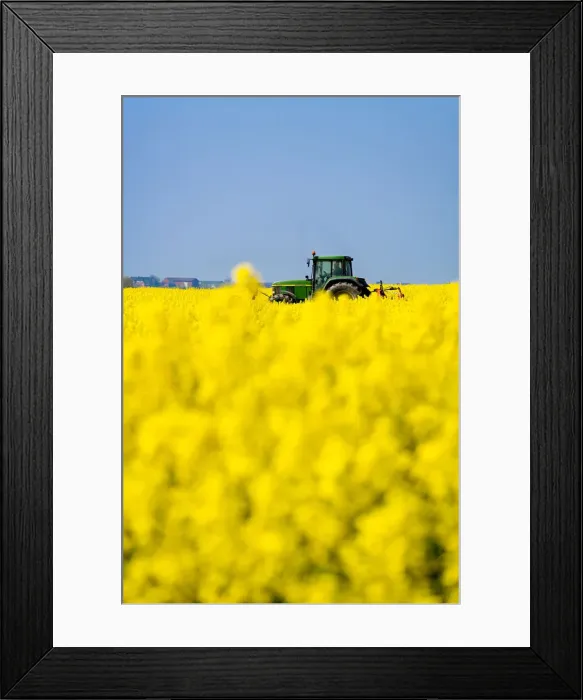 Framed Print : Tractor in a field, Pellworm Island, Northern Frisia, Schleswig Holstein, Germany Framed Print : Tractor in a field, Pellworm Island, Northern Frisia, Schleswig Holstein, Germany