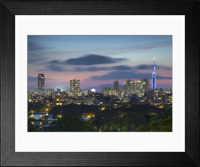 Framed Print : Couple at Fukuoka Castle ruins at sunset, Fukuoka, Kyushu, Japan