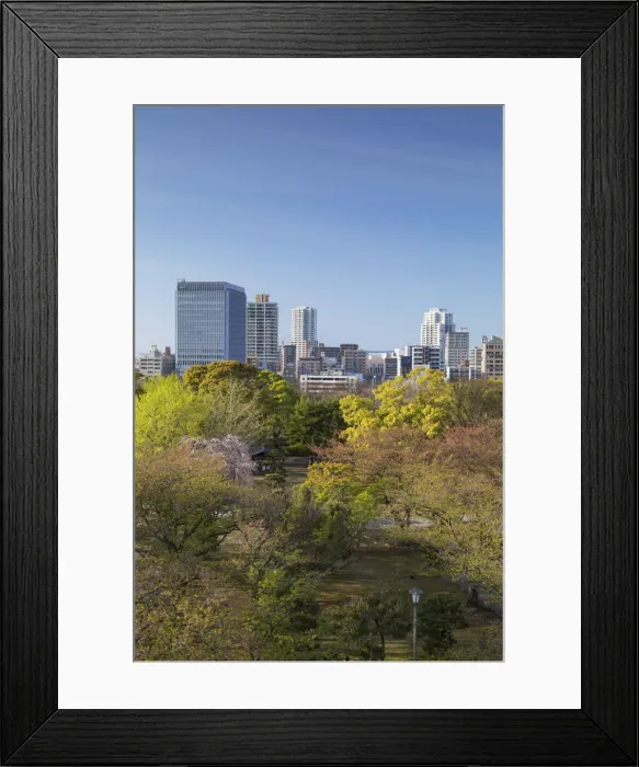 Framed Print : City skyline and Maizuru Park, Fukuoka, Kyushu, Japan Framed Print : City skyline and Maizuru Park, Fukuoka, Kyushu, Japan