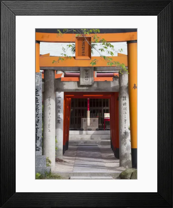 Framed Print : Tori gates at Kushida Shrine, Fukuoka, Kyushu, Japan Framed Print : Tori gates at Kushida Shrine, Fukuoka, Kyushu, Japan