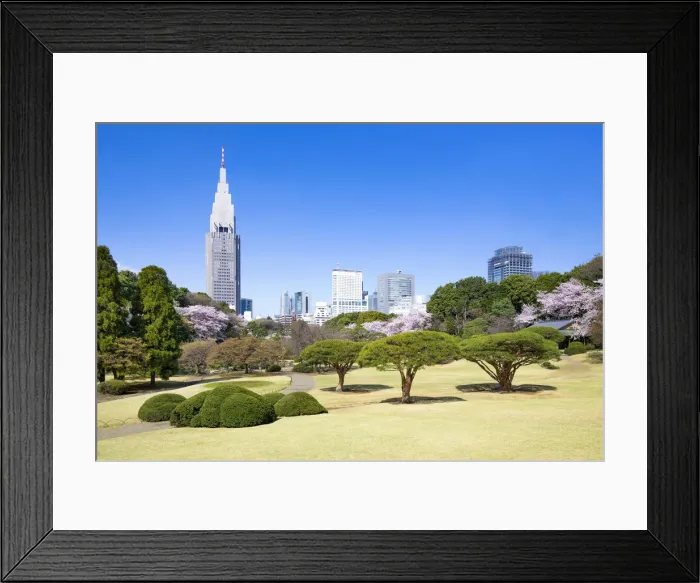 Framed Print : Japanese garden in spring at the Shinjuku gyoen, Tokyo, Japan Framed Print : Japanese garden in spring at the Shinjuku gyoen, Tokyo, Japan