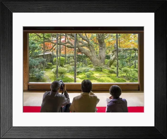 Framed Print : Oldest pine tree at the Hosen-in temple in Ohara, Kyoto, Japan Framed Print : Oldest pine tree at the Hosen-in temple in Ohara, Kyoto, Japan