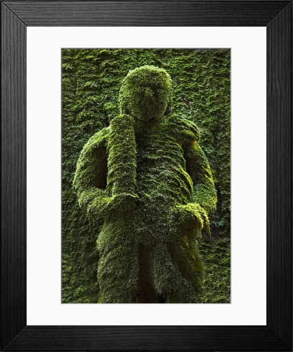Framed Print : Buddhist moss statue at the Hozen-ji temple, Osaka, Japan Framed Print : Buddhist moss statue at the Hozen-ji temple, Osaka, Japan