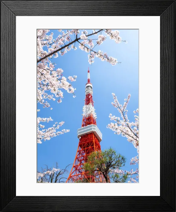 Framed Print : Tokyo Tower during the cherry blossom season, Minato, Tokyo, Japan Framed Print : Tokyo Tower during the cherry blossom season, Minato, Tokyo, Japan