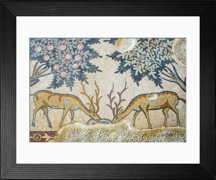 Framed Print : Jordan, Madaba Governorate, Khirbet al-Mukhayyat Framed Print : Jordan, Madaba Governorate, Khirbet al-Mukhayyat