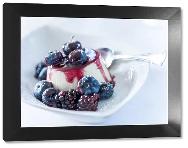 Europe, Italy. Panna cotta with berries