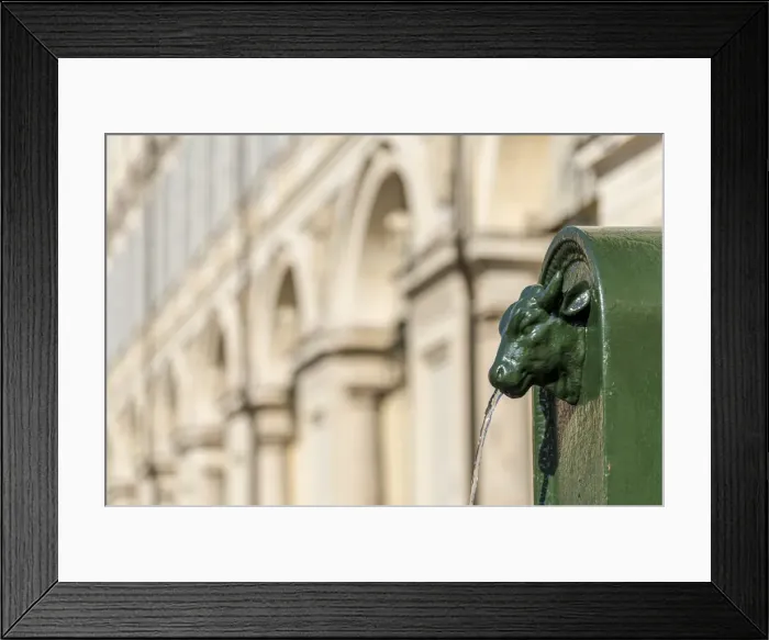 Framed Print : Europe, Italy, Piedmont. A Toret, a public fountain in Turin