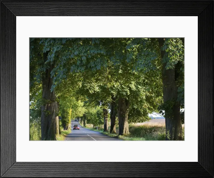 Framed Print : Lieper Winkel, Usedom Island, Mecklenburg-Western Pomerania, Germany Framed Print : Lieper Winkel, Usedom Island, Mecklenburg-Western Pomerania, Germany