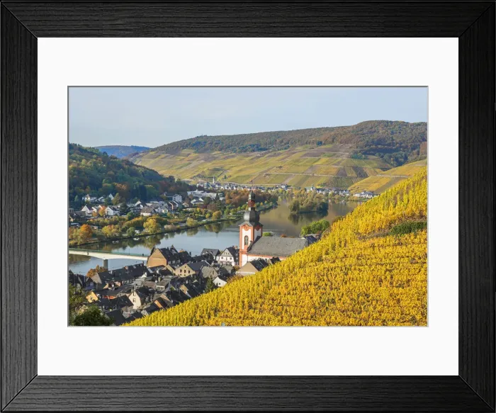 Framed Print : River Mosel with Zell at fall, Rhineland-Palatinate, Germany Framed Print : River Mosel with Zell at fall, Rhineland-Palatinate, Germany