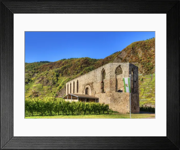 Framed Print : Ruin of Cloister Stuben with Calmont vineyard at fall, Bremm, Rhineland-Palatinate Framed Print : Ruin of Cloister Stuben with Calmont vineyard at fall, Bremm, Rhineland-Palatinate