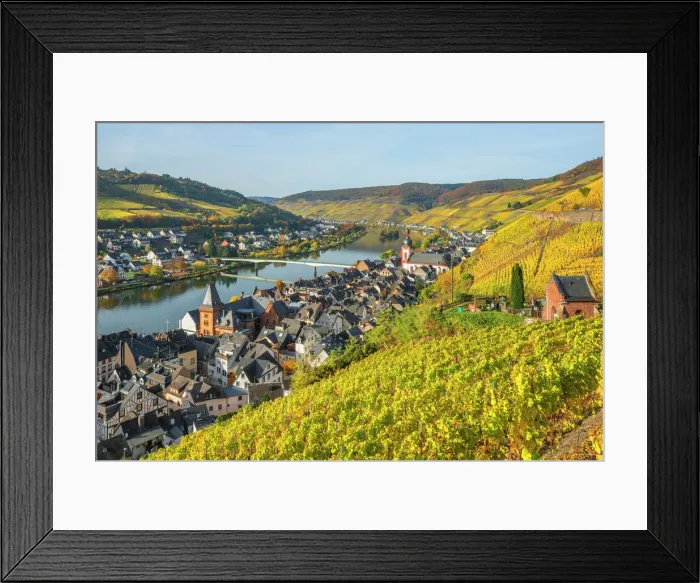 Framed Print : River Mosel with Zell at fall, Rhineland-Palatinate, Germany
