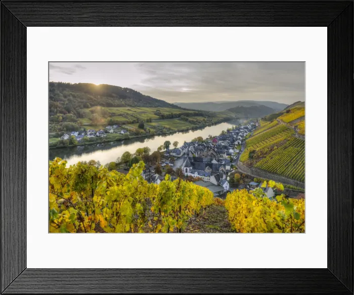 Framed Print : River Mosel with Zell-Merl at fall, Rhineland-Palatinate, Germany Framed Print : River Mosel with Zell-Merl at fall, Rhineland-Palatinate, Germany