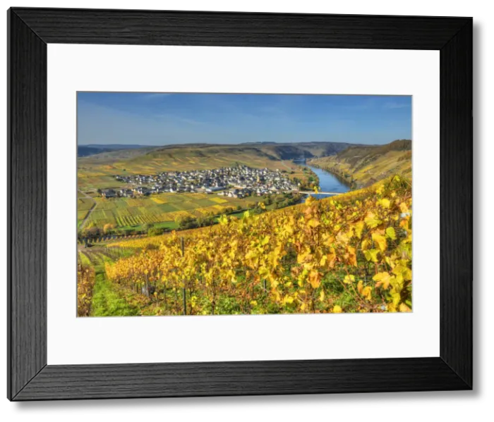 Framed Print : View at Trittenheim with river Mosel at fall, Rhineland-Palatine, Germany Framed Print : View at Trittenheim with river Mosel at fall, Rhineland-Palatine, Germany
