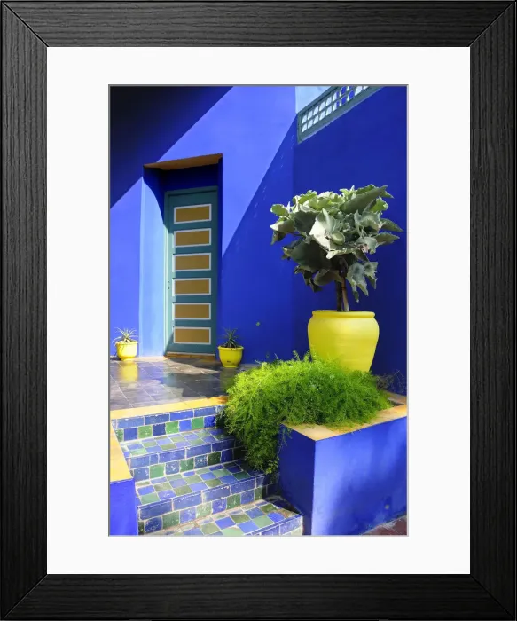 Framed Print : The blue and yellow contrast found in the Majorelle garden. Marrakech, Morocco Framed Print : The blue and yellow contrast found in the Majorelle garden. Marrakech, Morocco