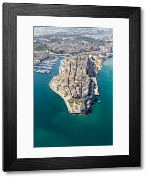 Framed Print : Malta, South Eastern Region, Valletta. Aerial view of Senglea, one of the Three Cities Framed Print : Malta, South Eastern Region, Valletta. Aerial view of Senglea, one of the Three Cities