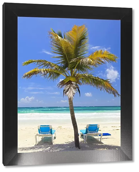 Mexico, Quintana Roo, Riviera Maya, Tulum. Sun loungers on the beach under a palm tree