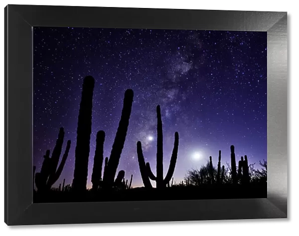 Night sky, La Ventanaz, Baja California, Mexico