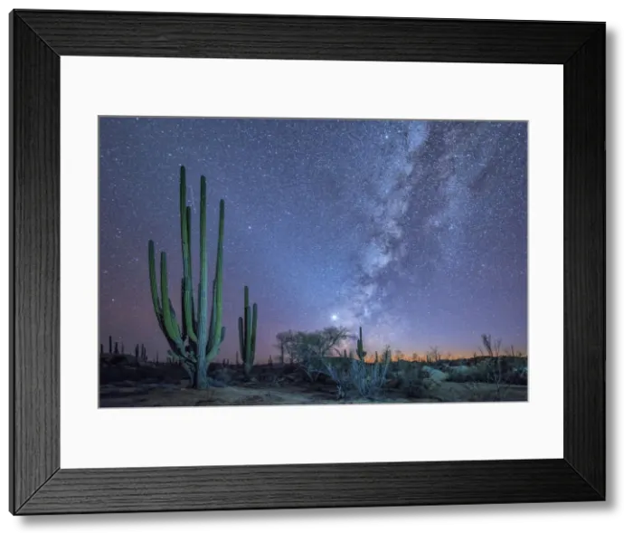 Framed Print : Mexico, Baja California, Catavinia stars Framed Print : Mexico, Baja California, Catavinia stars