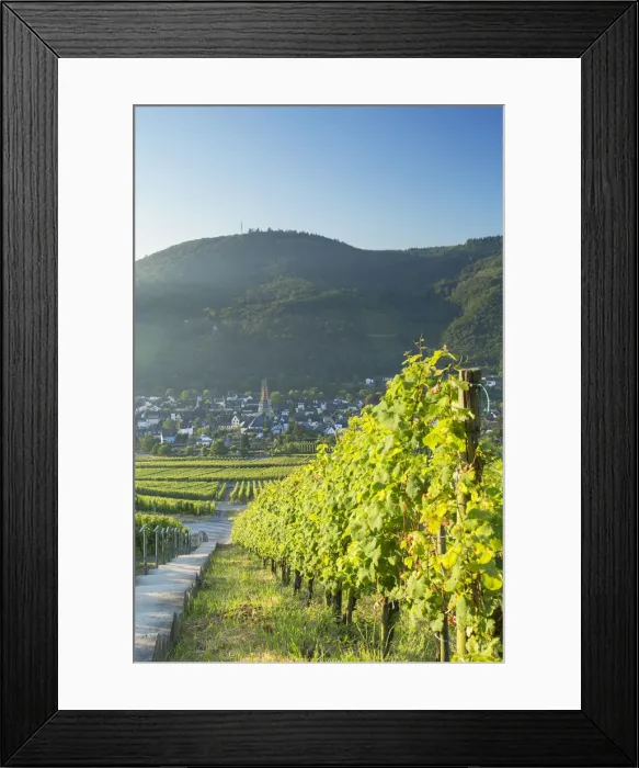 Framed Print : View of vineyards, Bernkastel-Kues, Rhineland-Palatinate, Germany Framed Print : View of vineyards, Bernkastel-Kues, Rhineland-Palatinate, Germany