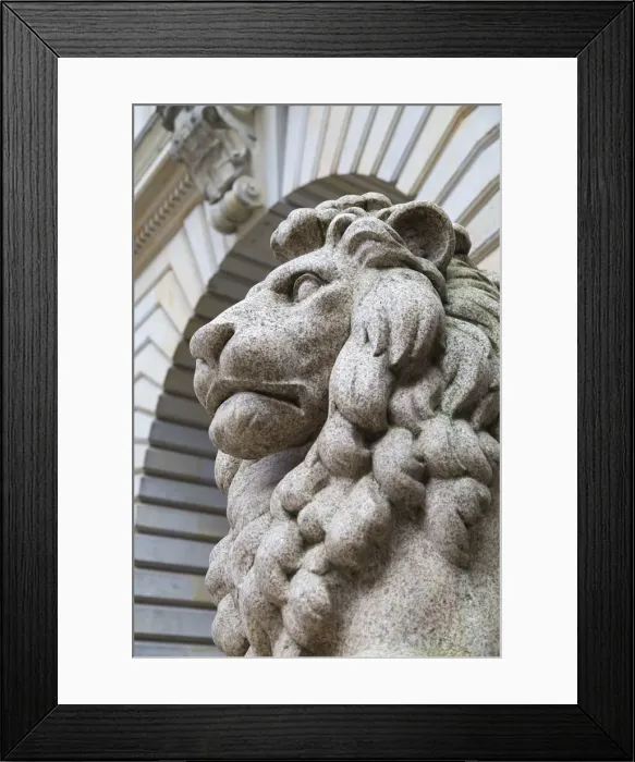 Framed Print : Lion statue of Rathaus (Town Hall), Hamburg, Germany Framed Print : Lion statue of Rathaus (Town Hall), Hamburg, Germany