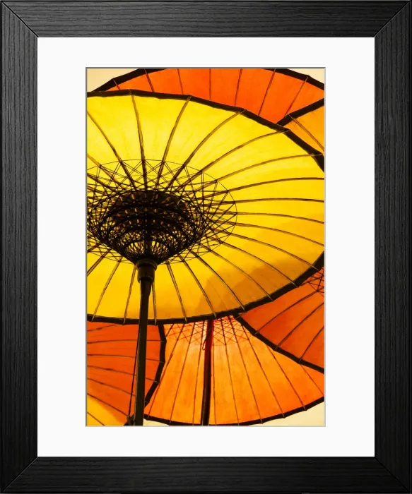 Framed Print : Traditional umbrellas made of paper and bamboo, Burma / Myanmar Framed Print : Traditional umbrellas made of paper and bamboo, Burma / Myanmar