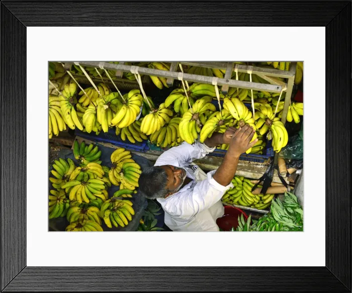 Framed Print : Bananas at the Big Vegetable Market, Port Louis, Mauritius, Indian Ocean Framed Print : Bananas at the Big Vegetable Market, Port Louis, Mauritius, Indian Ocean