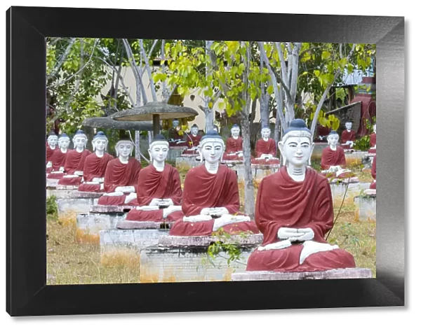 Asia, Southeast Asia, Myanmar, Monywa, thousands of sitting buddhas in the park of