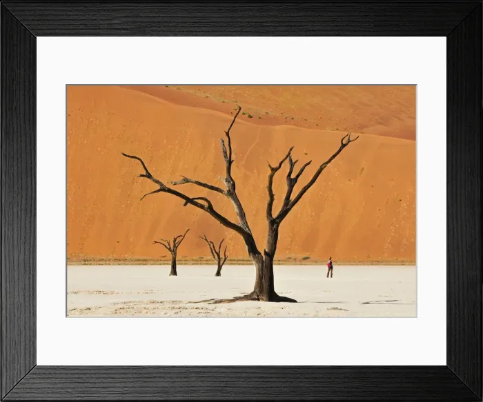 Framed Print : Tourist in Dead vlei at Sossusvlei, Namib-Naukluft Park, Namibia, Africa Framed Print : Tourist in Dead vlei at Sossusvlei, Namib-Naukluft Park, Namibia, Africa