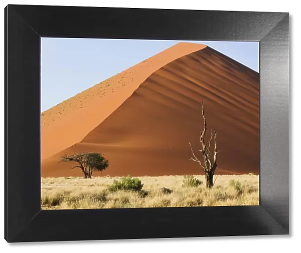 Red sand dunes in the Namib-Naukluft National Park, Namibia, Africa