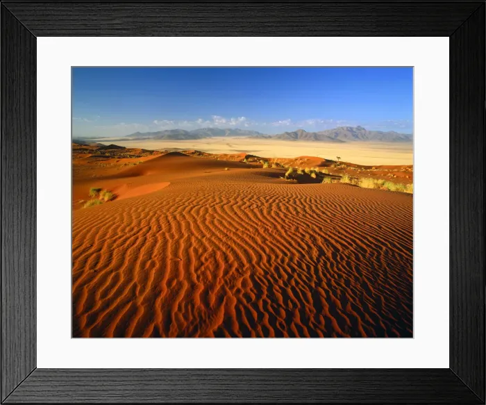 Framed Print : Sand Dune, Namib Rand, Namibia, Africa