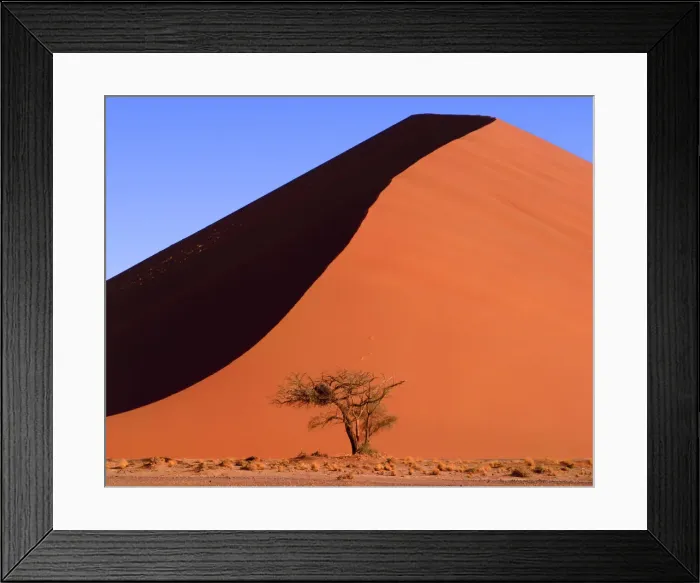 Framed Print : Sand Dune & Tree, Sossusvlei, Namibia, Africa Framed Print : Sand Dune & Tree, Sossusvlei, Namibia, Africa