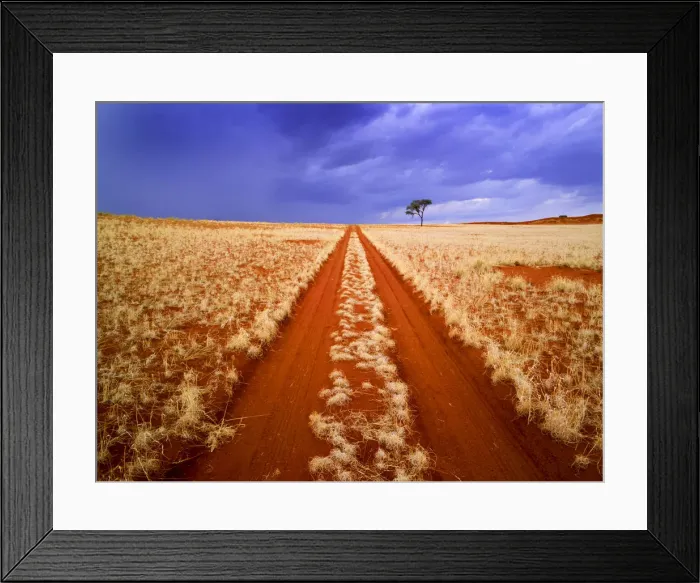 Framed Print : Desert Track & Tree, Namibia, Africa Framed Print : Desert Track & Tree, Namibia, Africa
