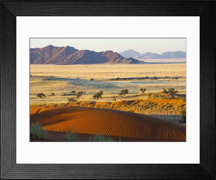 Framed Print : Namib desert, Namibia, Africa. Petrified dunes at sunset Framed Print : Namib desert, Namibia, Africa. Petrified dunes at sunset