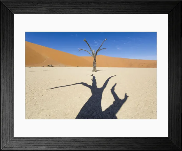 Framed Print : Deadvlei, Namib desert, Namibia, Africa. Dead acacia pan Framed Print : Deadvlei, Namib desert, Namibia, Africa. Dead acacia pan