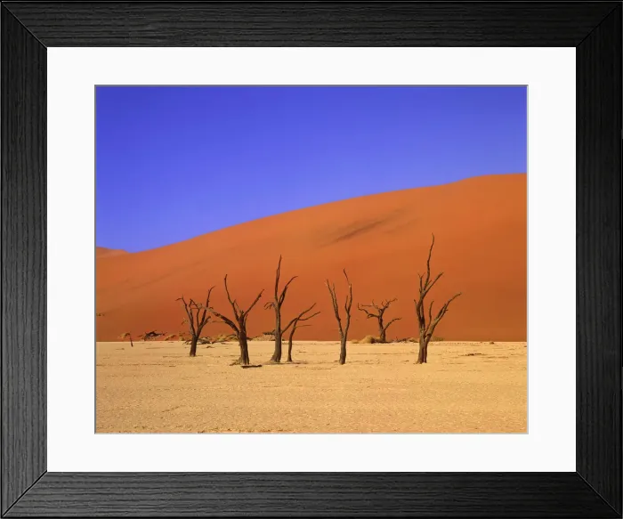 Framed Print : Dead Camel Thorn Trees & Sand Dune, Deadvlei, Namibia, Africa Framed Print : Dead Camel Thorn Trees & Sand Dune, Deadvlei, Namibia, Africa