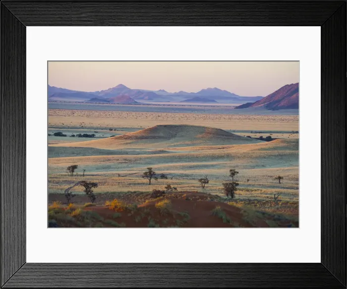 Framed Print : Namib desert, Namibia, Africa. Petrified dunes at sunset
