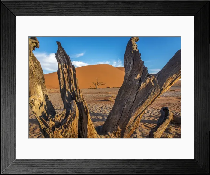 Framed Print : Africa, Namibia. Dune at Sossusvlei in the Namib desert Framed Print : Africa, Namibia. Dune at Sossusvlei in the Namib desert