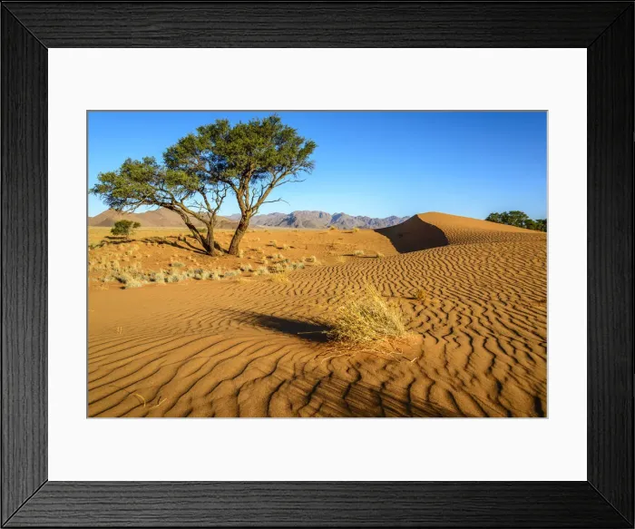 Framed Print : Africa, Namibia. in the dunes of the namib desert Framed Print : Africa, Namibia. in the dunes of the namib desert