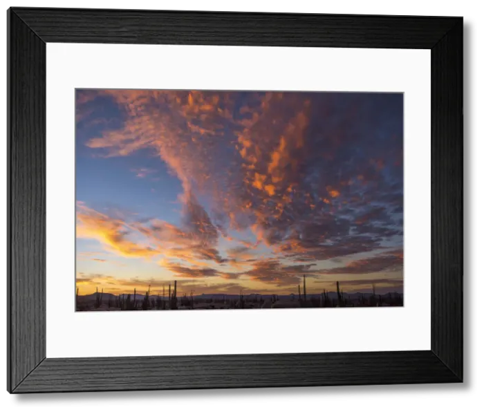 Framed Print : Mexico, Baja California, catavinia, sunrise in the boulder fields Framed Print : Mexico, Baja California, catavinia, sunrise in the boulder fields