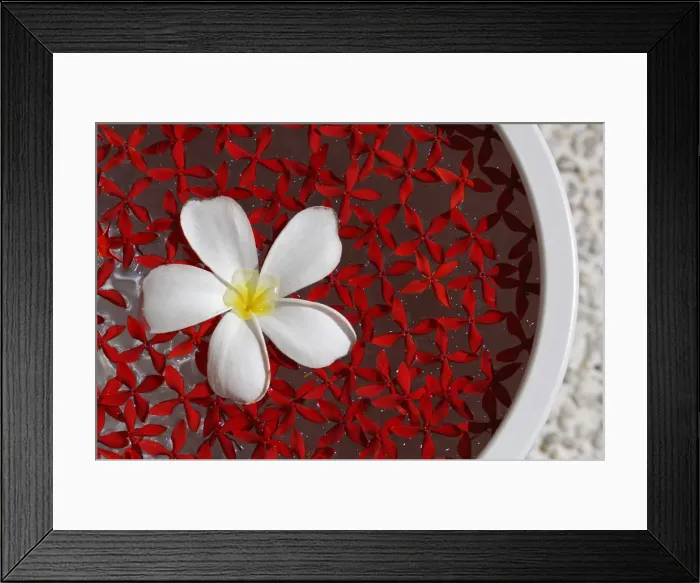 Framed Print : Flower, Wellness, Kurumba Resort, Maldives