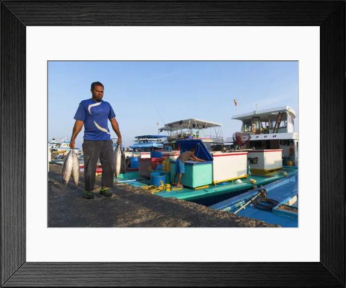 Framed Print : Fishing boats in harbour, Male, North Male Atoll, Maldives Framed Print : Fishing boats in harbour, Male, North Male Atoll, Maldives