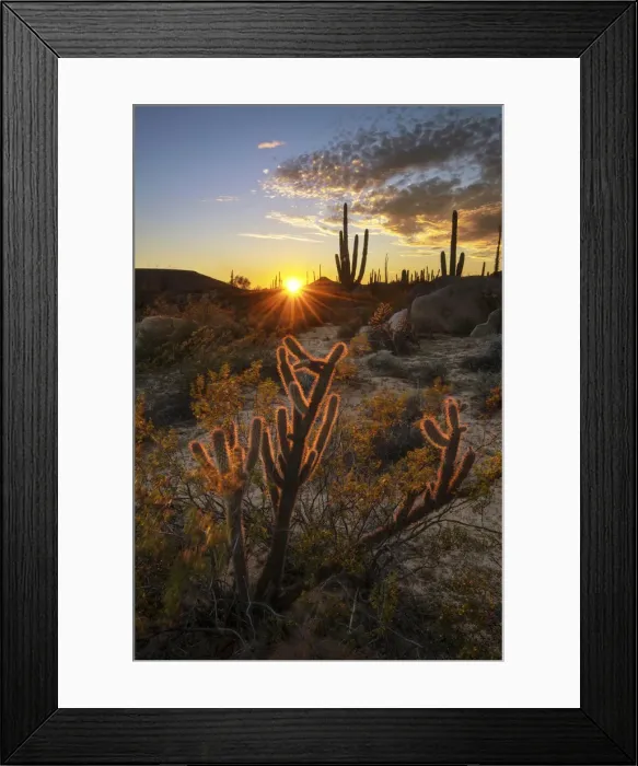 Framed Print : Central America, Mexico, Baja, Baja California, Sur, Catavina sunset