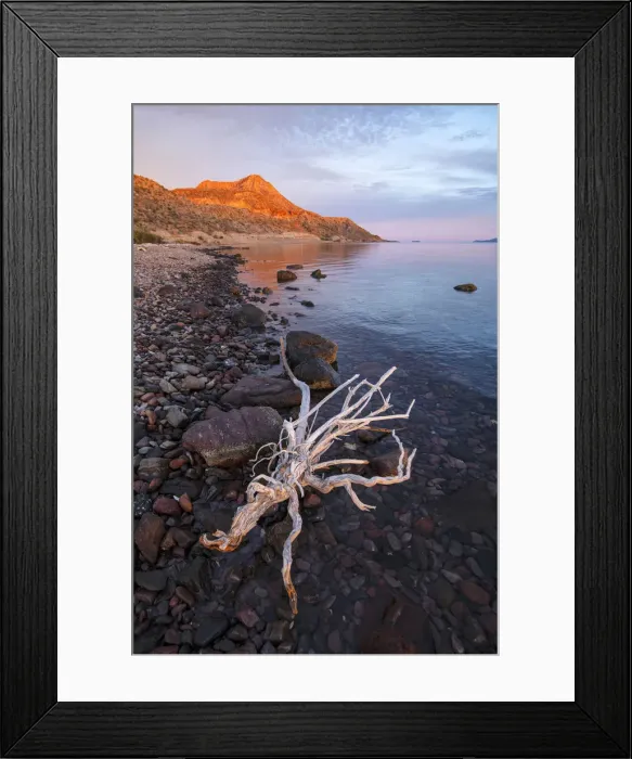 Framed Print : Central America, Mexico, Mexican, Baja, Baja California, Sur, Bahia Concepcion, Sea Framed Print : Central America, Mexico, Mexican, Baja, Baja California, Sur, Bahia Concepcion, Sea