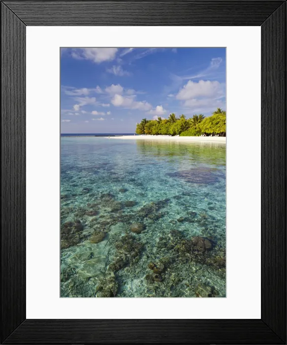 Framed Print : Maldives, Rasdhoo Atoll, Kuramathi Island Framed Print : Maldives, Rasdhoo Atoll, Kuramathi Island