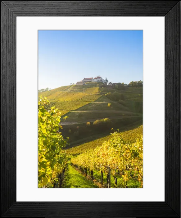 Framed Print : Durbach, Freiburg region, Black Forest (Schwarzwald), Baden-WAorttemberg, Germany Framed Print : Durbach, Freiburg region, Black Forest (Schwarzwald), Baden-WAorttemberg, Germany
