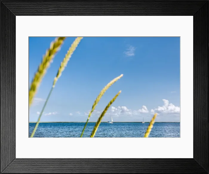 Framed Print : View towards nature reserve, Graswarder, Heiligenhafen, Baltic coast, Schleswig-Holstein Framed Print : View towards nature reserve, Graswarder, Heiligenhafen, Baltic coast, Schleswig-Holstein