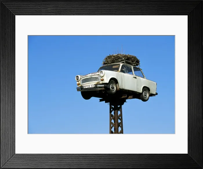 Framed Print : Trabant and storka's nest, Mecklenburg-Western Pomerania, Germany Framed Print : Trabant and storka's nest, Mecklenburg-Western Pomerania, Germany